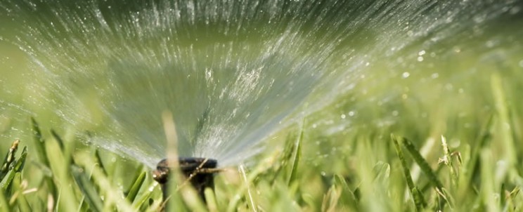 Sprinkler spraying in spring -- responsible sprinkler use prevents early season flood damage.